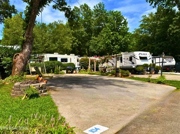 a view of a swimming pool with a backyard