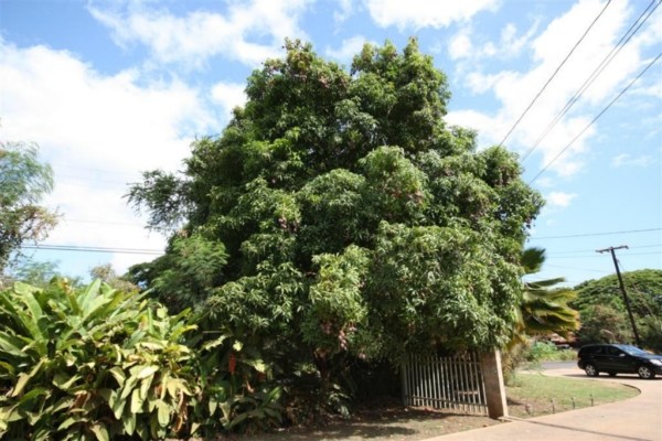 4881 Menehune Road Waimea, HI 96796 - Photo 15 of 18 Gallery Image 15