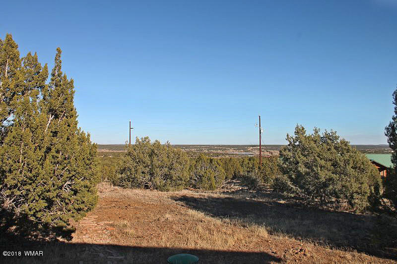 2045 Parker Ranch Road Show Low, AZ 85901 - Photo 3 of 34 Gallery Image 3