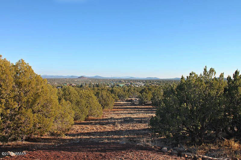 2045 Parker Ranch Road Show Low, AZ 85901 - Photo 7 of 34 Gallery Image 7