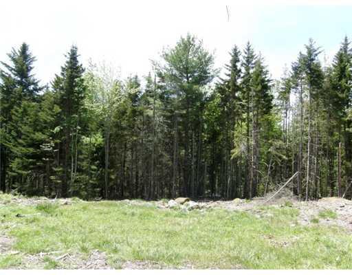 6 Old Woods Road St. George, ME 04860 - Photo 1 of 11 Land.