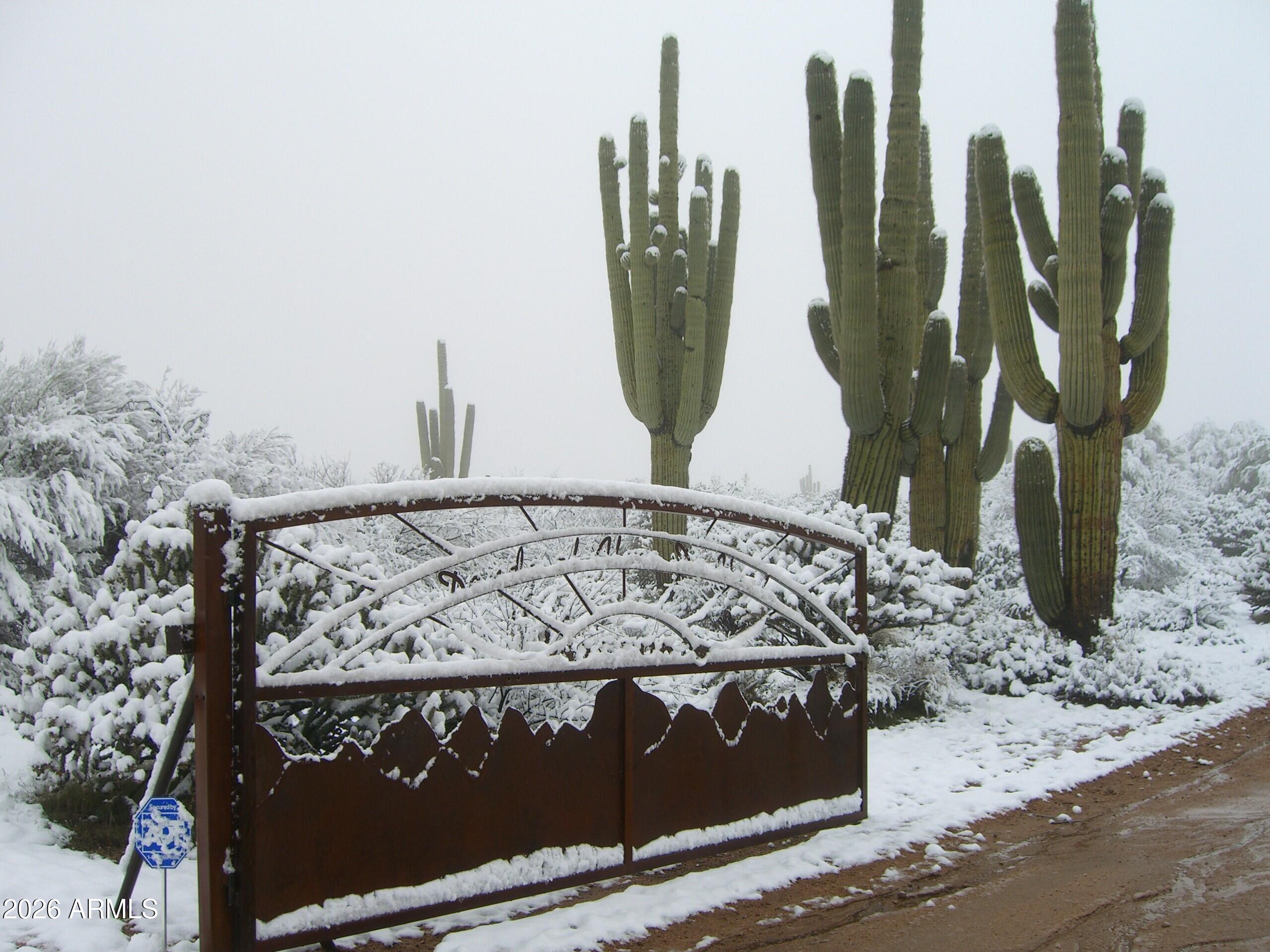 13906 East Montello Road Scottsdale, AZ 85262 - Photo 13 of 110 Rare Desert Snow