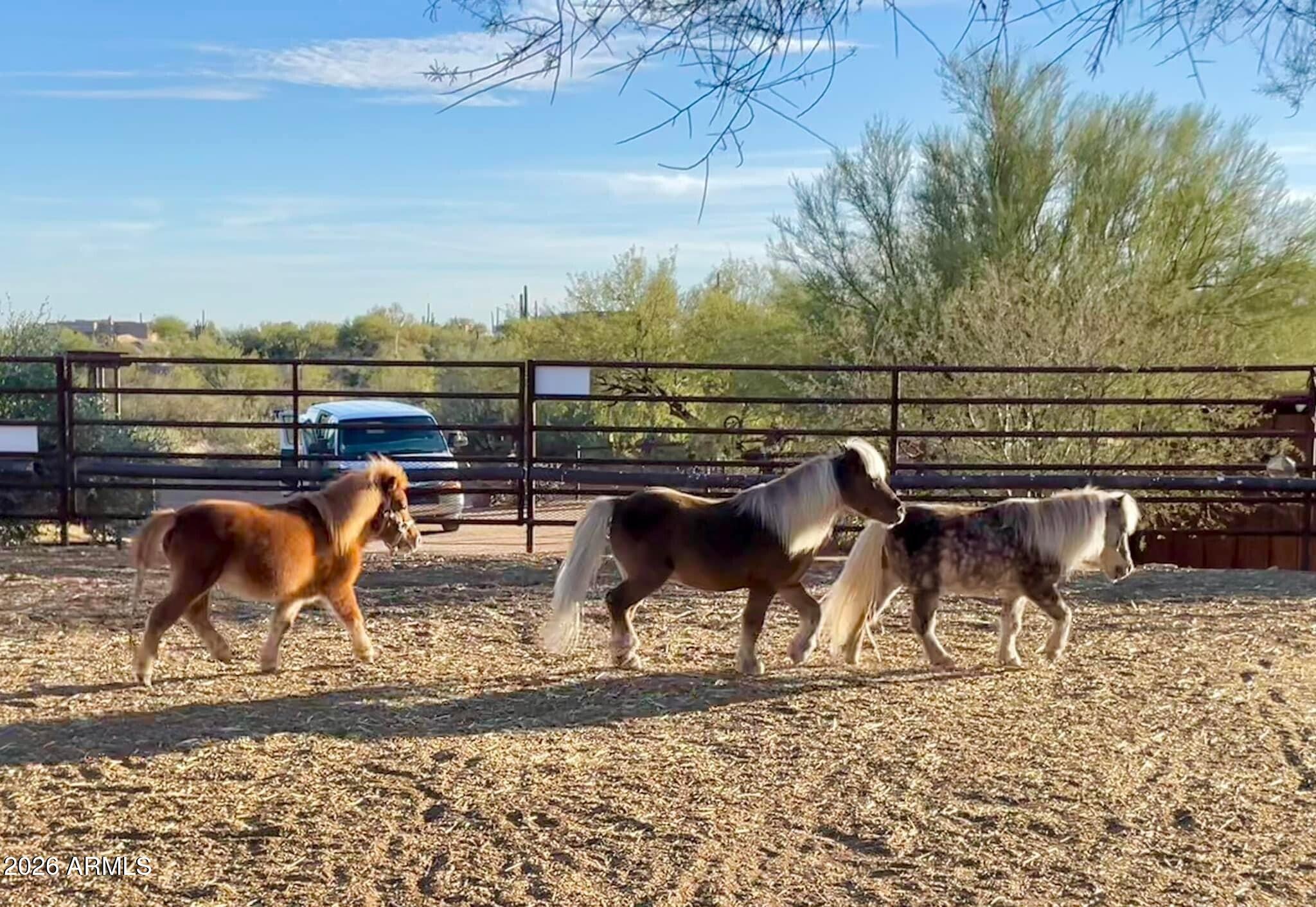 13906 East Montello Road Scottsdale, AZ 85262 - Photo 74 of 110 Great Horse Property