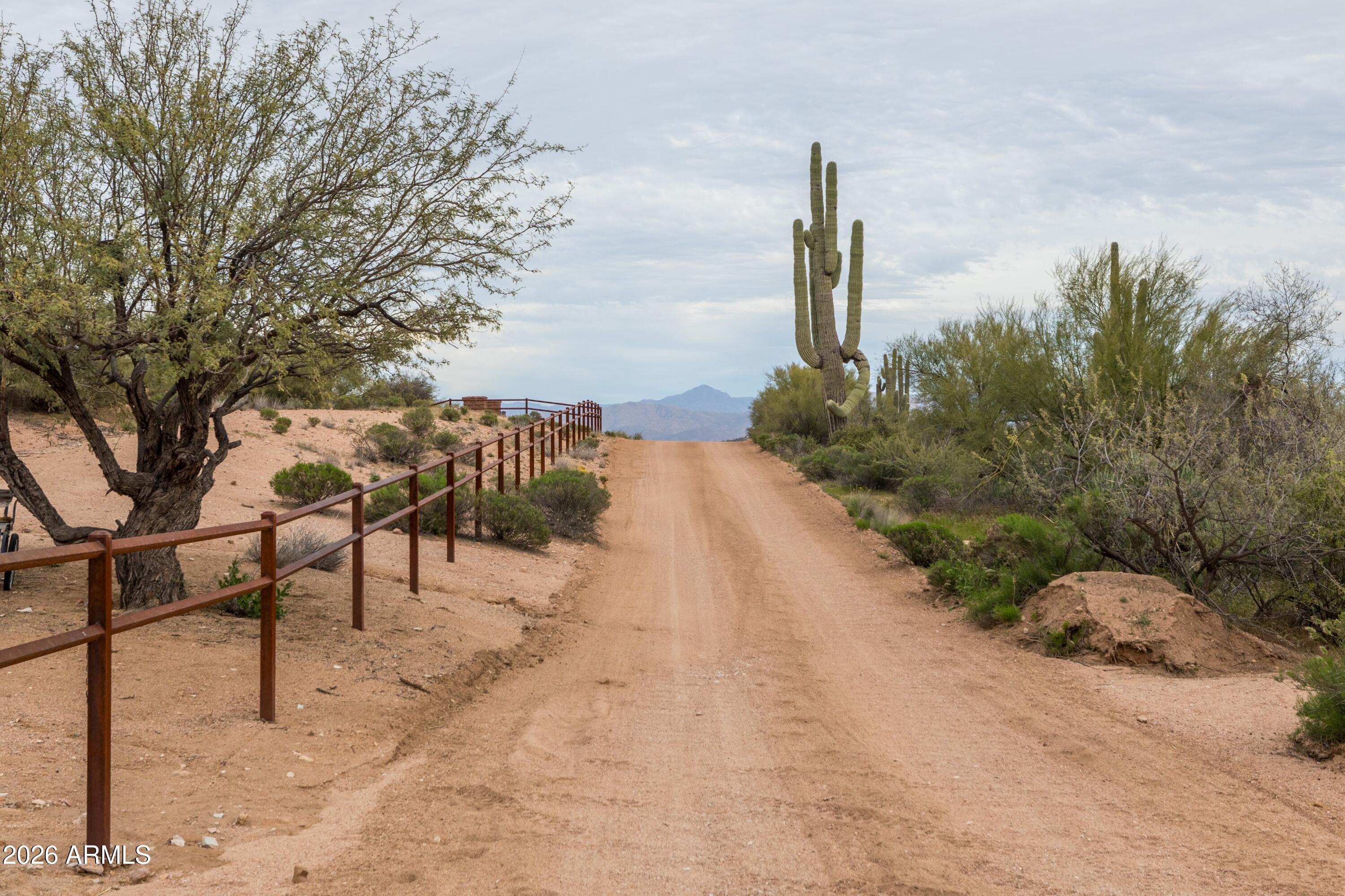 13906 East Montello Road Scottsdale, AZ 85262 - Photo 83 of 110 a view of a yard with plants and trees