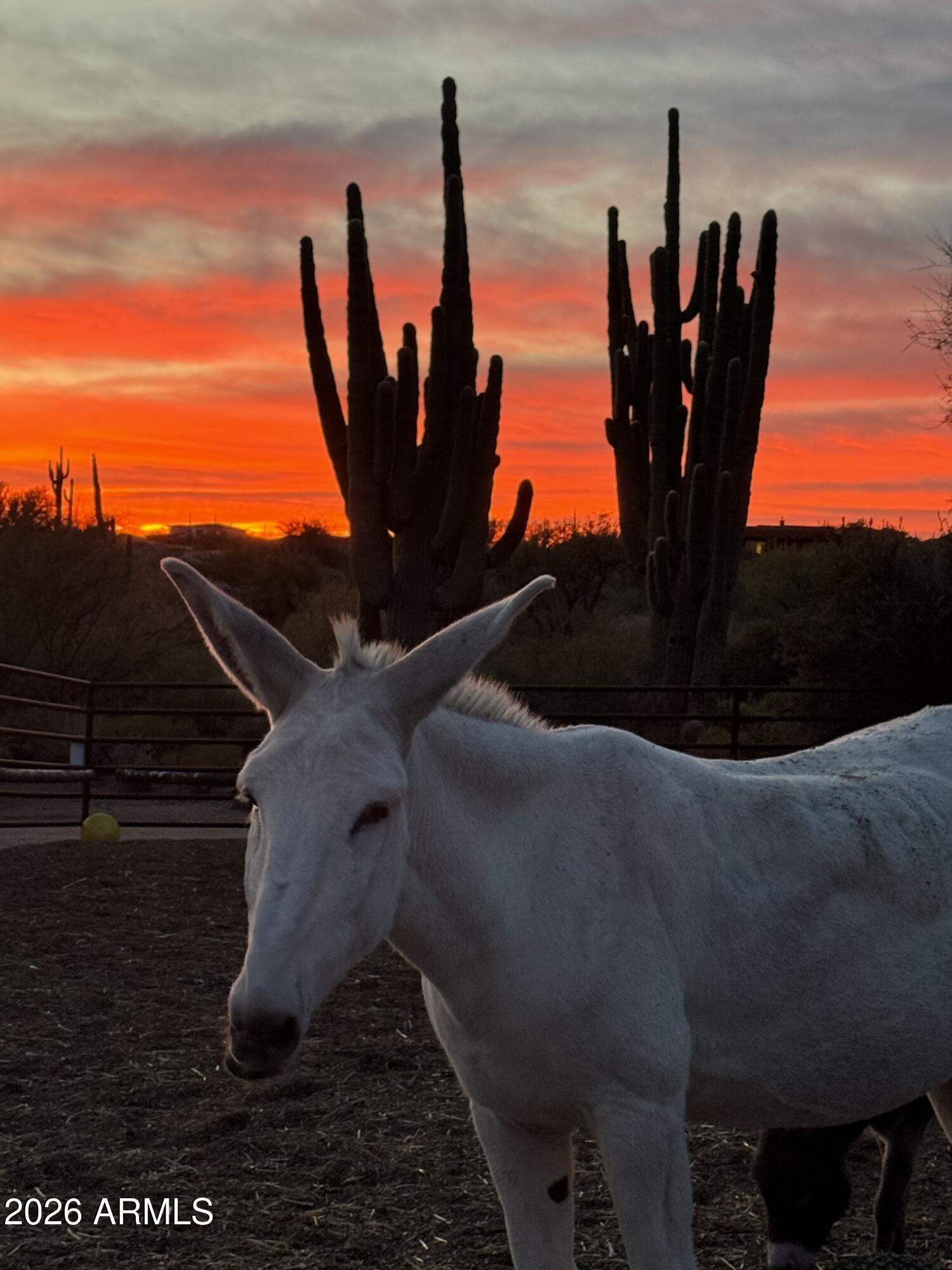 13906 East Montello Road Scottsdale, AZ 85262 - Photo 84 of 110 Stunning Sunsets