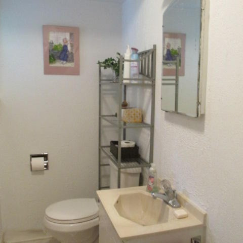 705 Topinabee Road Niles, MI 49120 - Photo 29 of 43 Bathroom