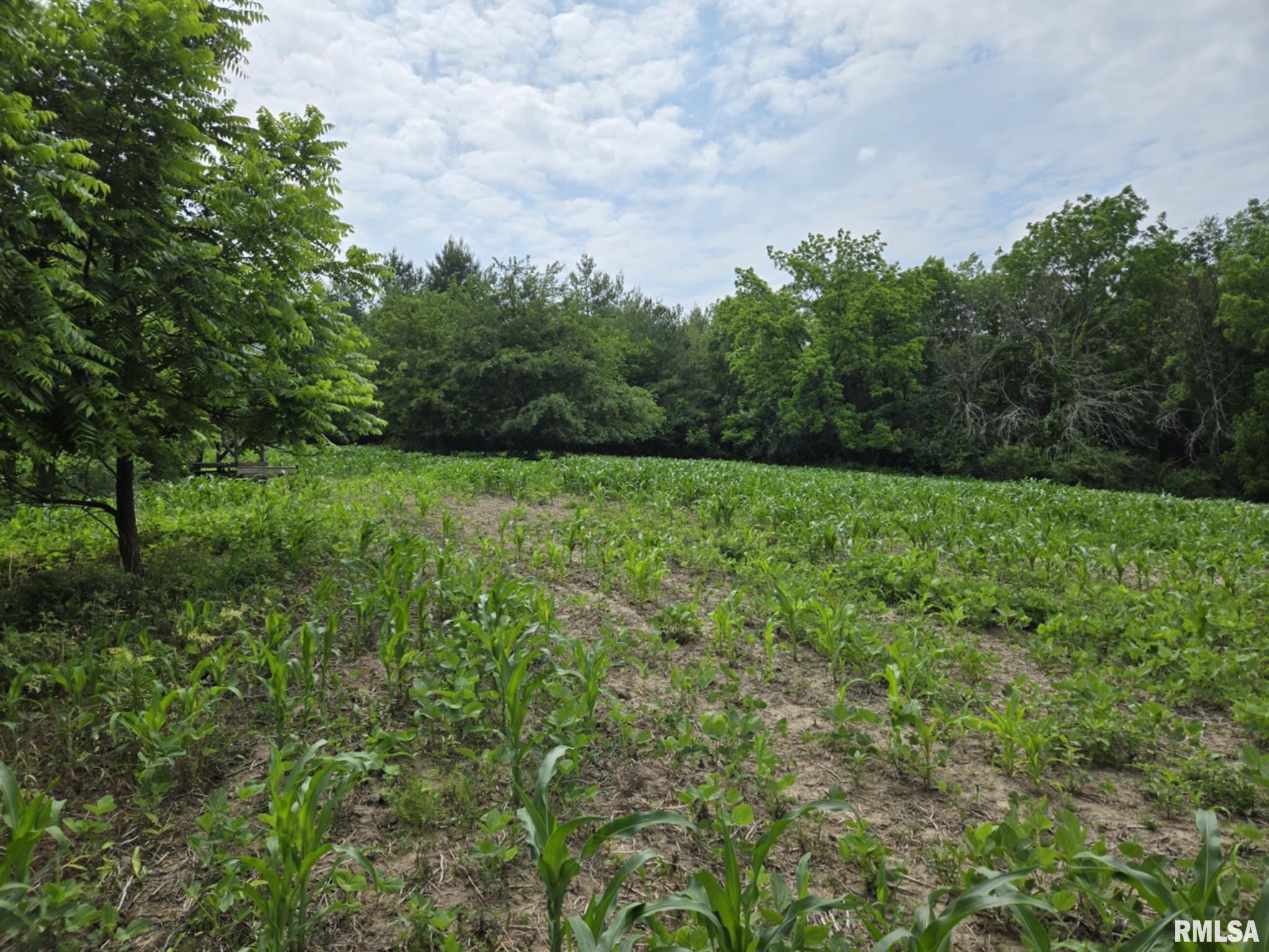 4456 115th Street Clinton, IA 52732 - Photo 11 of 18