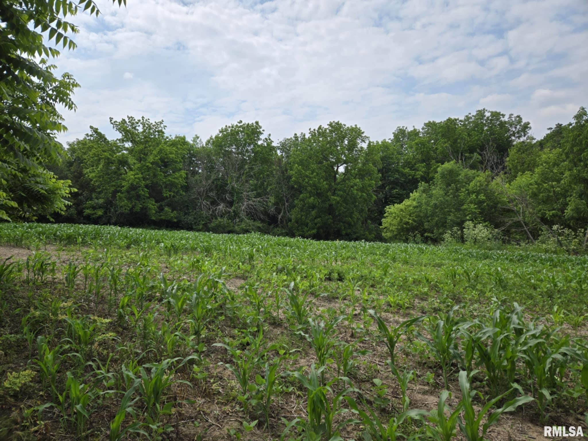 4456 115th Street Clinton, IA 52732 - Photo 12 of 18