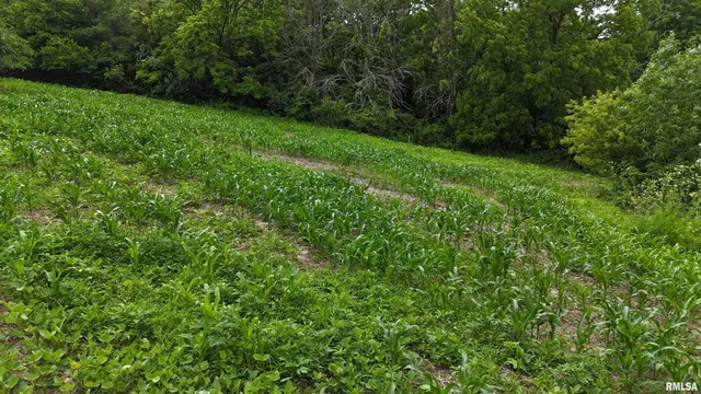 $149,000 | 4456 115th Street, Clinton, IA 52732