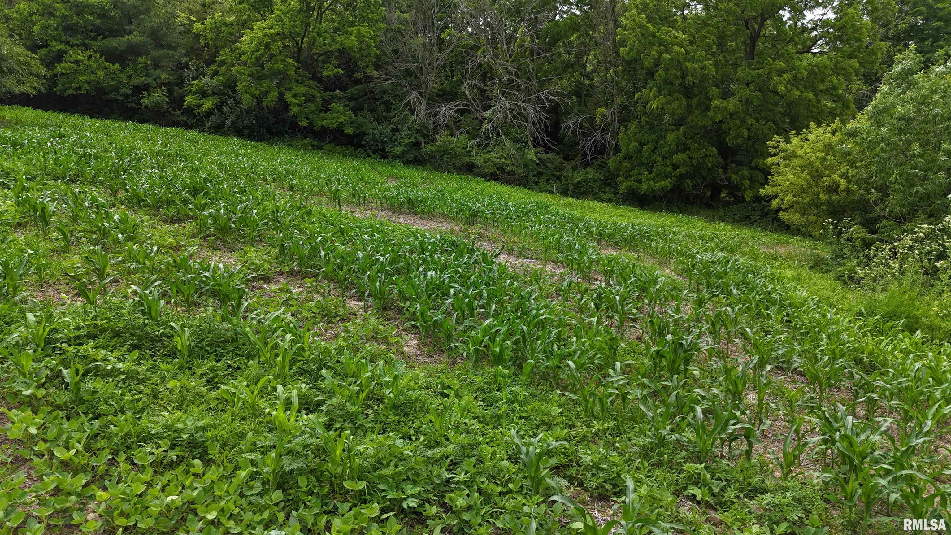 4456 115th Street Clinton, IA 52732 - Photo 14 of 18