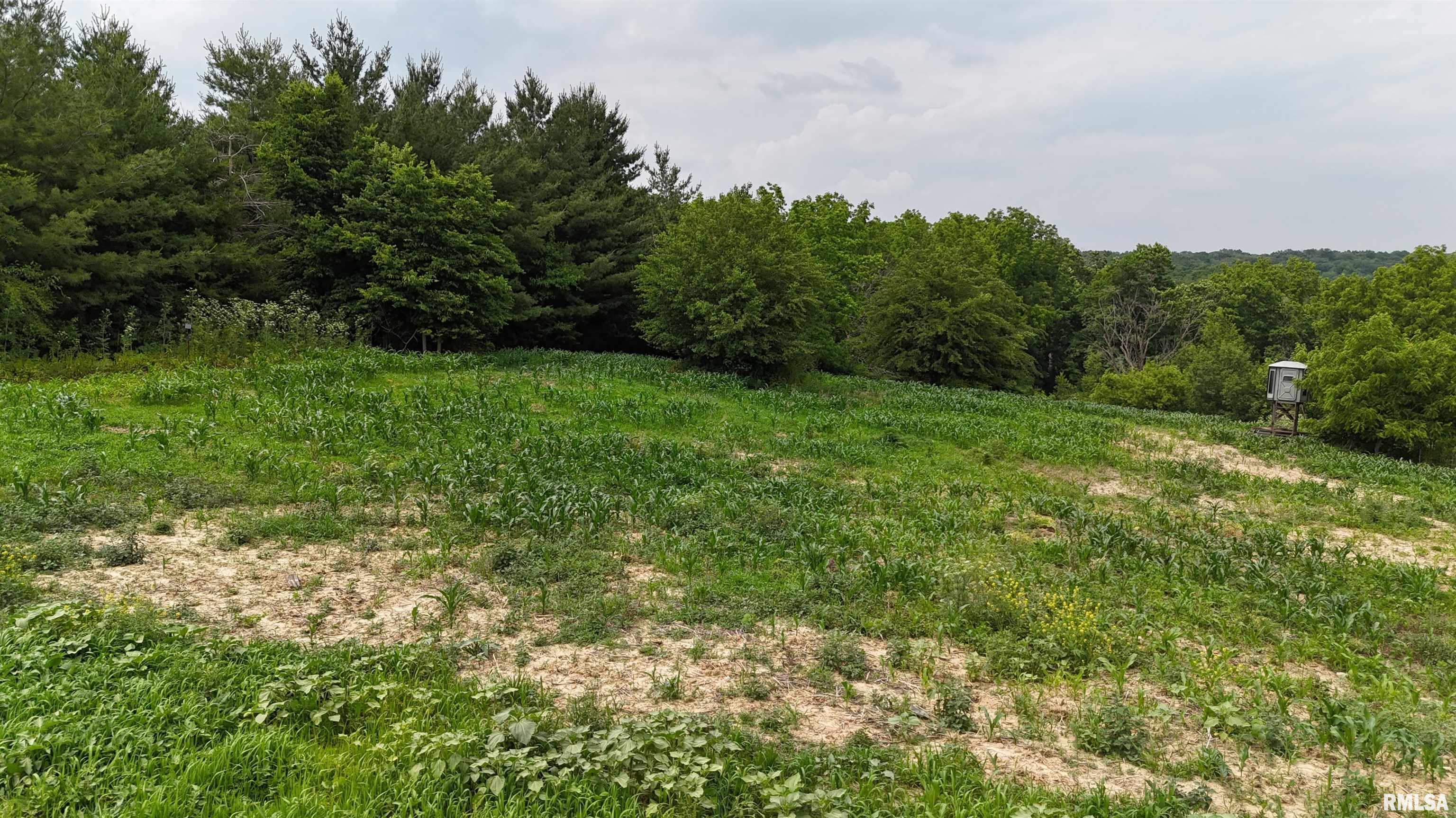 4456 115th Street Clinton, IA 52732 - Photo 17 of 18