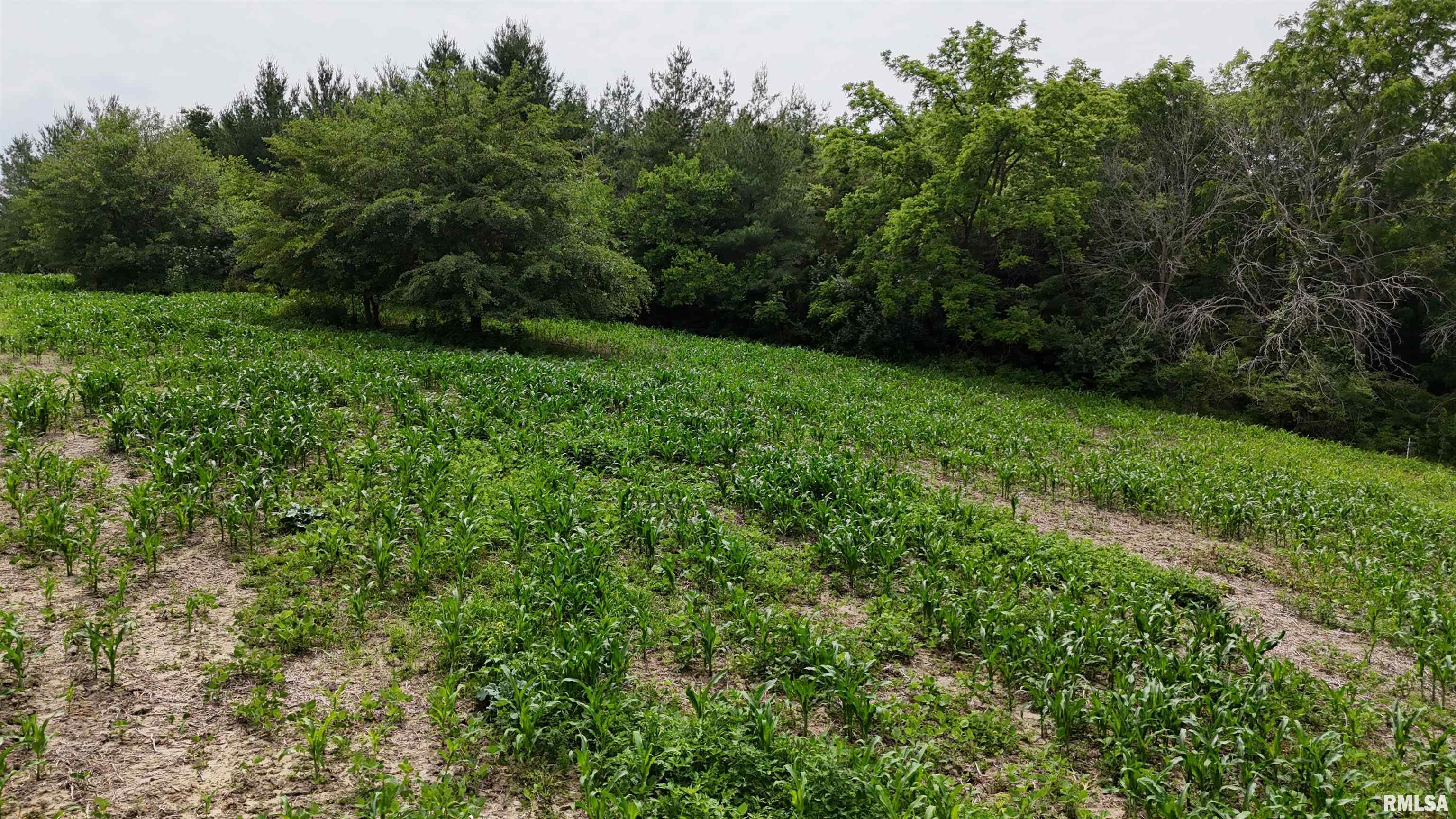 4456 115th Street Clinton, IA 52732 - Photo 5 of 18