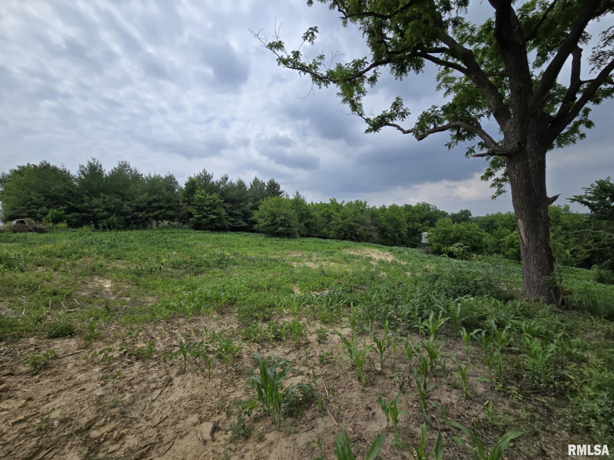 4456 115th Street Clinton, IA 52732 - Photo 6 of 18