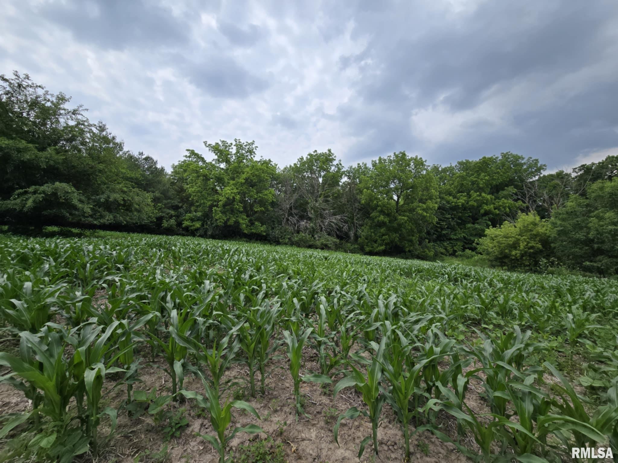 4456 115th Street Clinton, IA 52732 - Photo 7 of 18