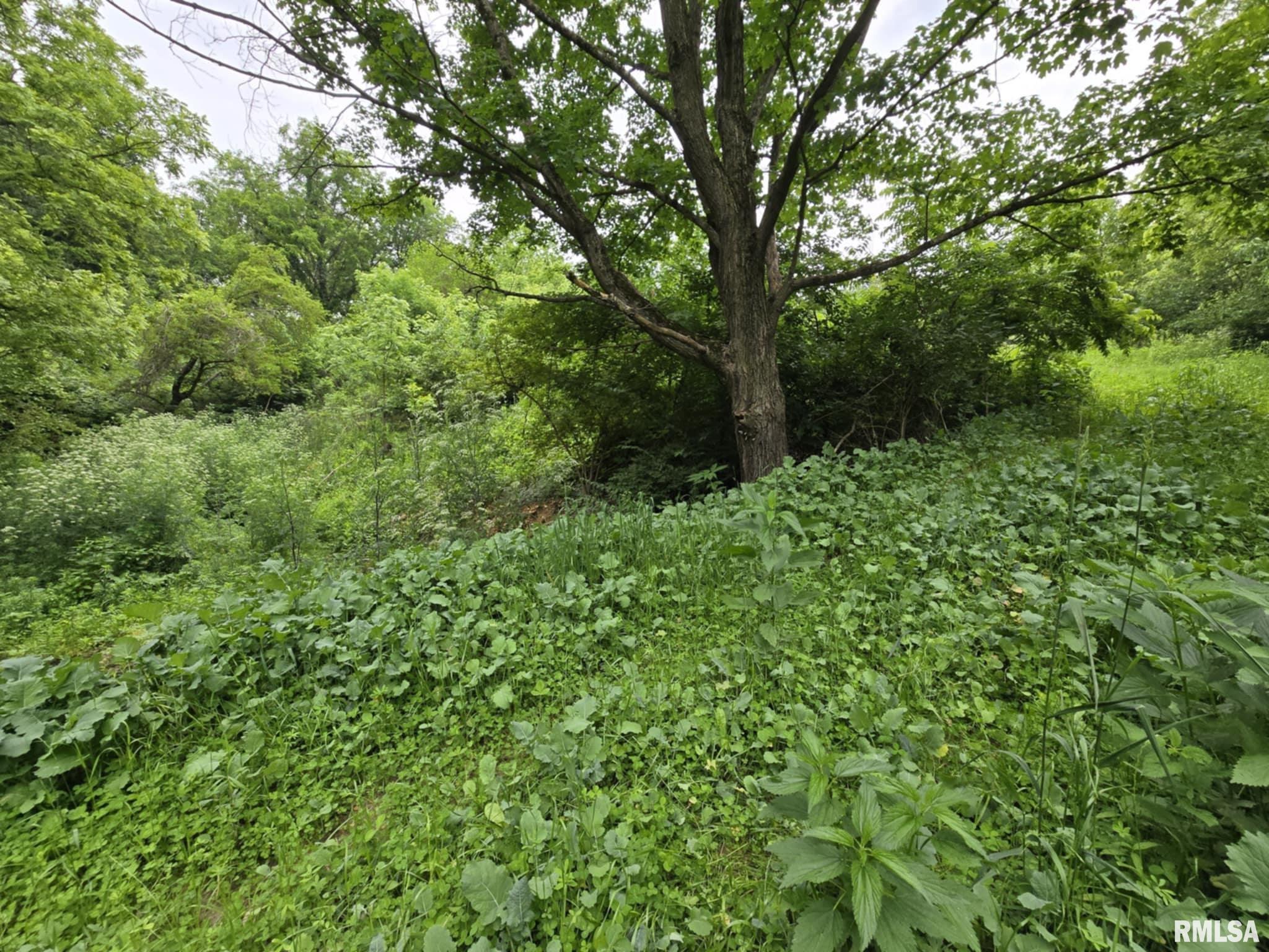 4456 115th Street Clinton, IA 52732 - Photo 9 of 18