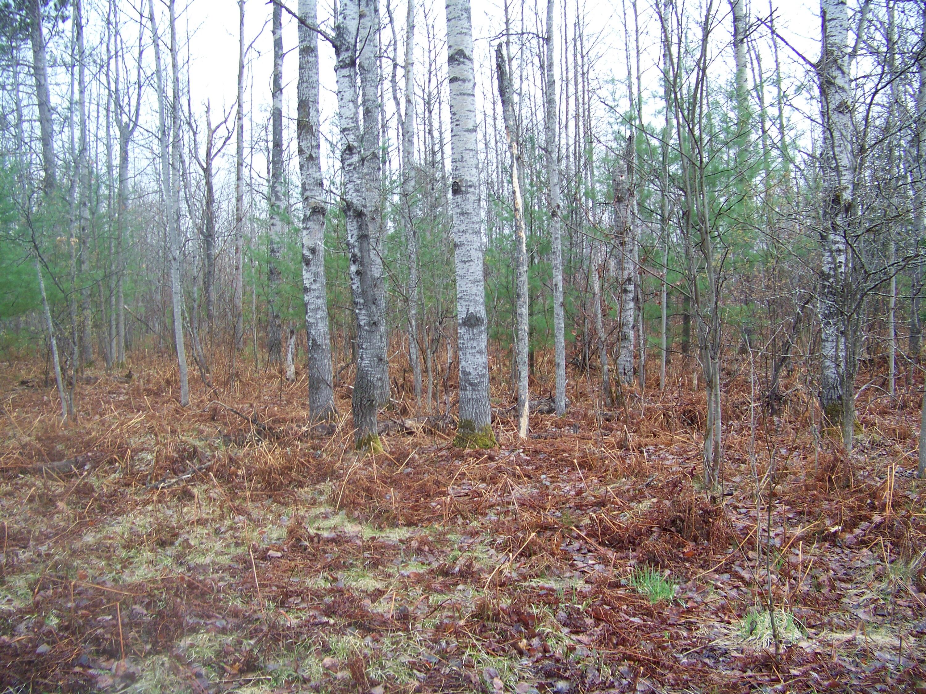 Emerald Lake Road Gaylord, MI 49735 - Photo 9 of 12 Gallery Image 9