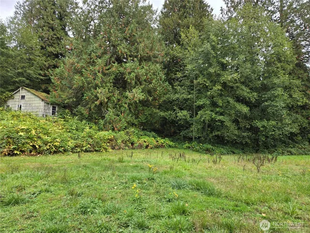 a view of outdoor space and yard