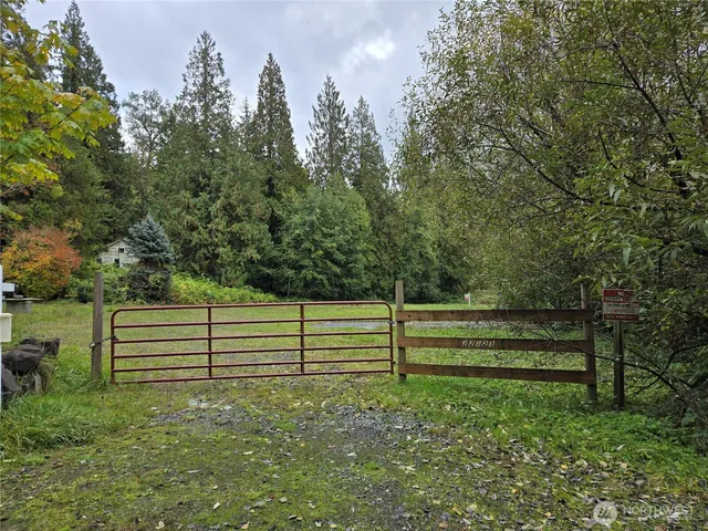 a view of a park with large trees