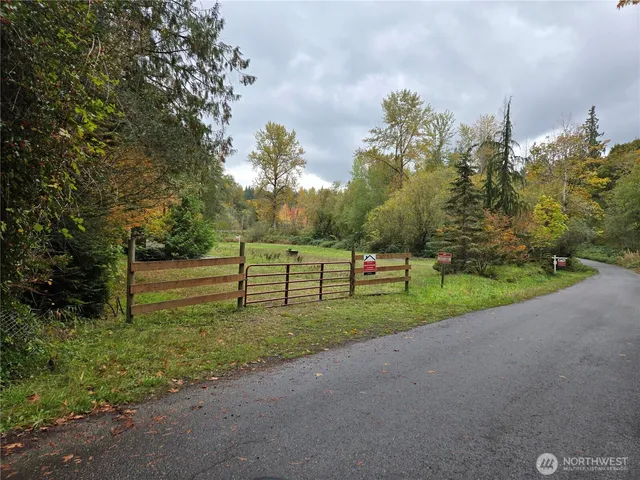 a view of a yard with a tree