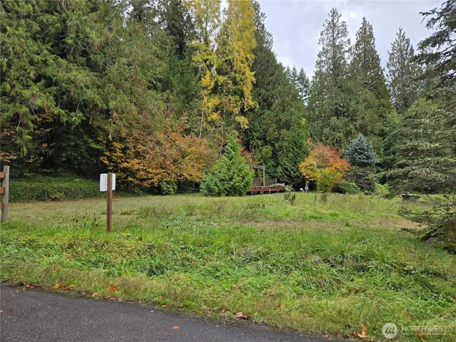a view of a big yard with a house in the background