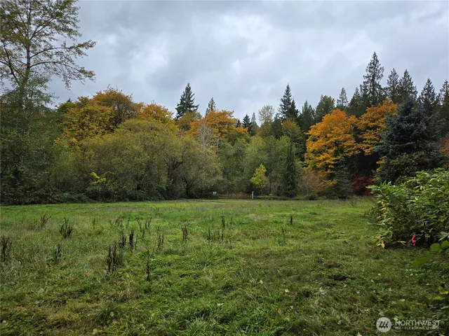 a view of outdoor space and yard