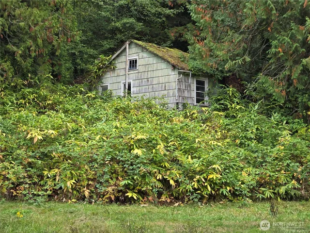 a view of a backyard with plants