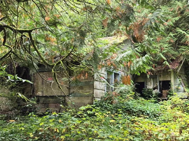 a yellow house with a tree in front of it