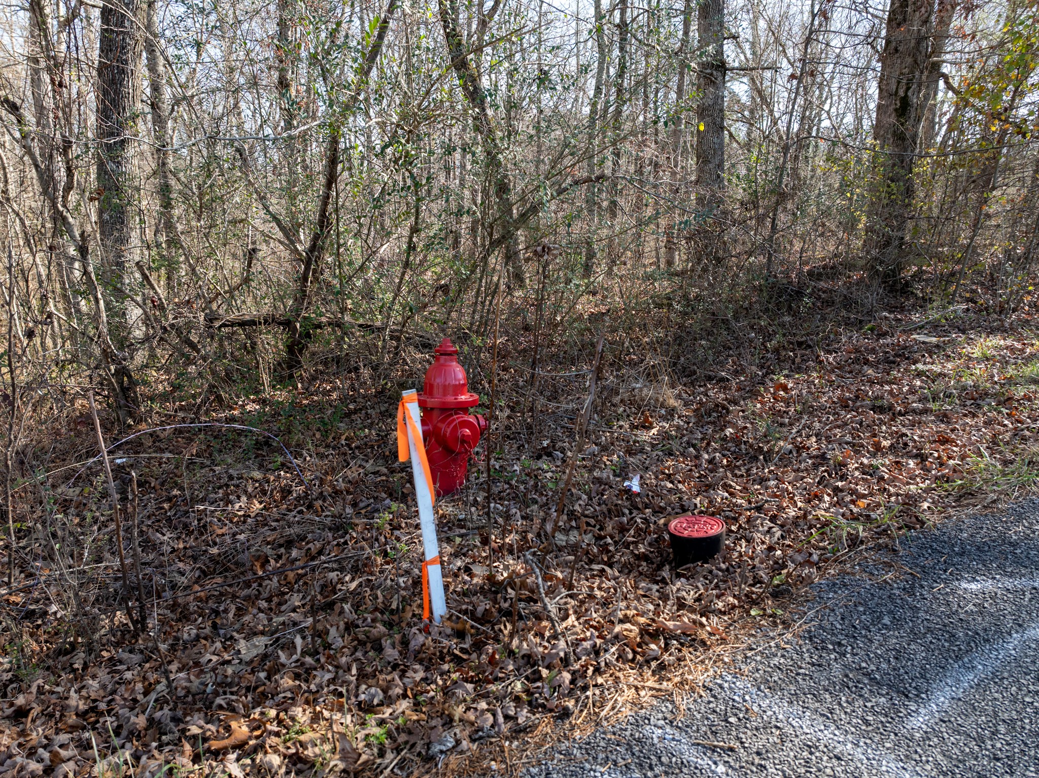1622 Monteagle Falls Road Monteagle, TN 37356 - Photo 7 of 10 a view of a yard with wooden fence