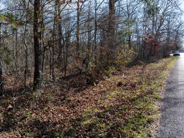 a view of a yard with a tree