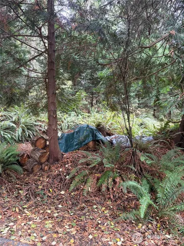 $150,000 | 1131 Harbortop Terrace, Greenbank, WA 98253