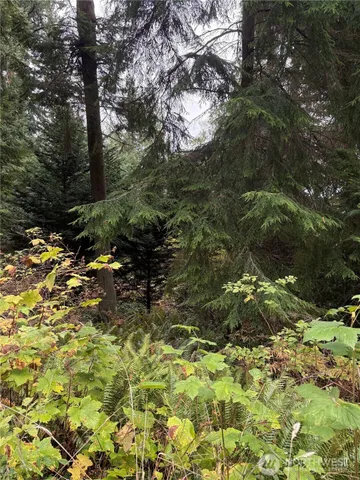 $150,000 | 1131 Harbortop Terrace, Greenbank, WA 98253