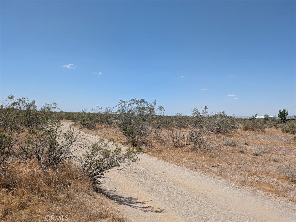 123 Dos Palmas Road Phelan, CA 92371 - Photo 3 of 4 a view of a dry yard with mountains in the background