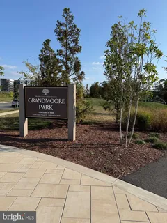 a view of a street with benches
