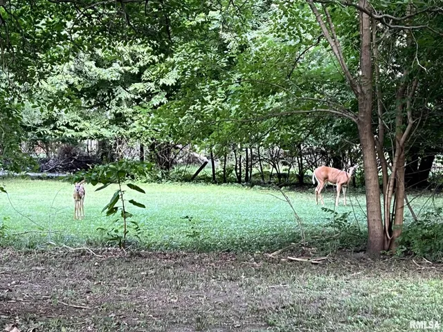 $74,000 | 809 West Jefferson Street, Macomb, IL 61455