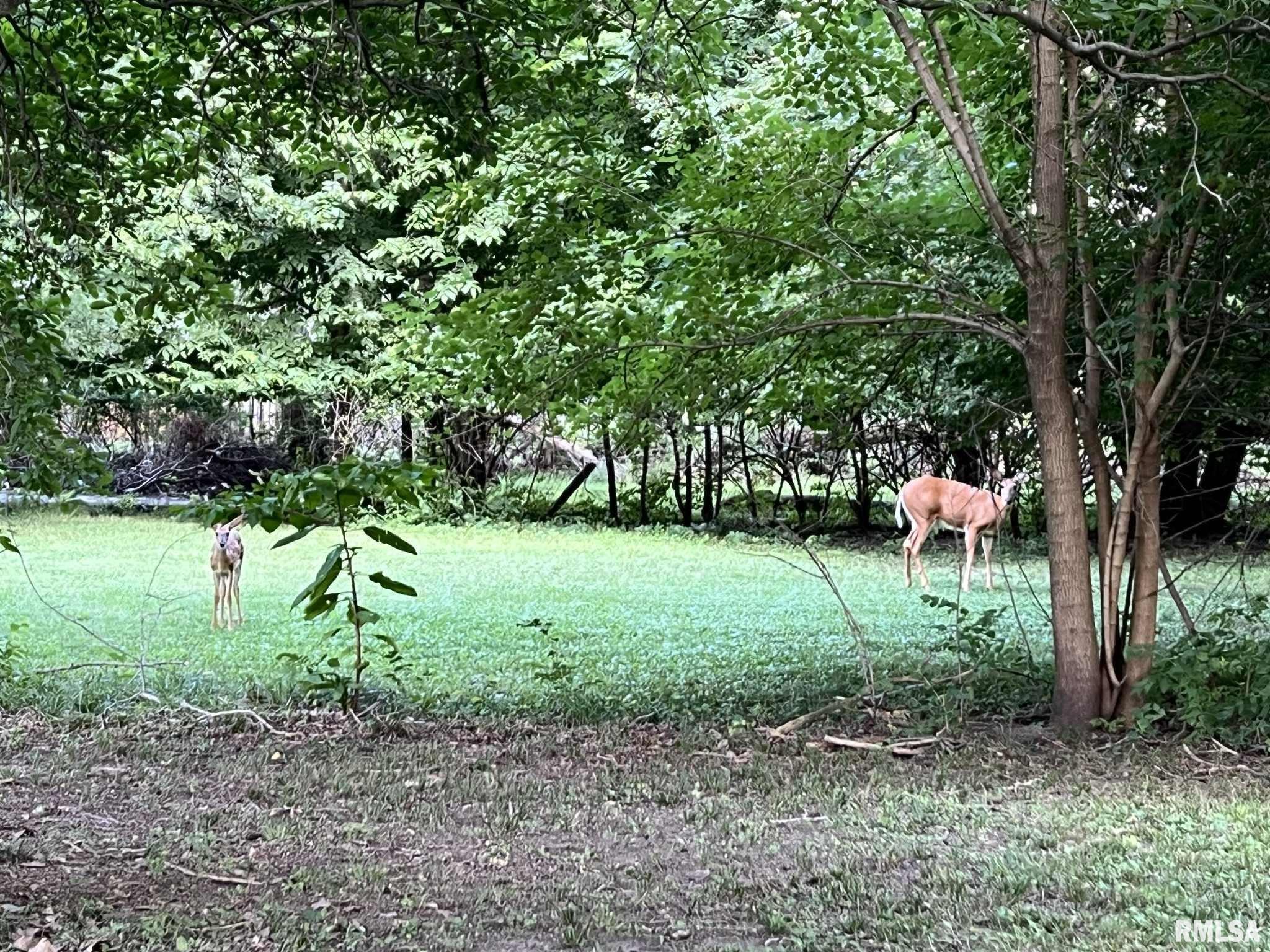 809 West Jefferson Street Macomb, IL 61455 - Photo 16 of 16