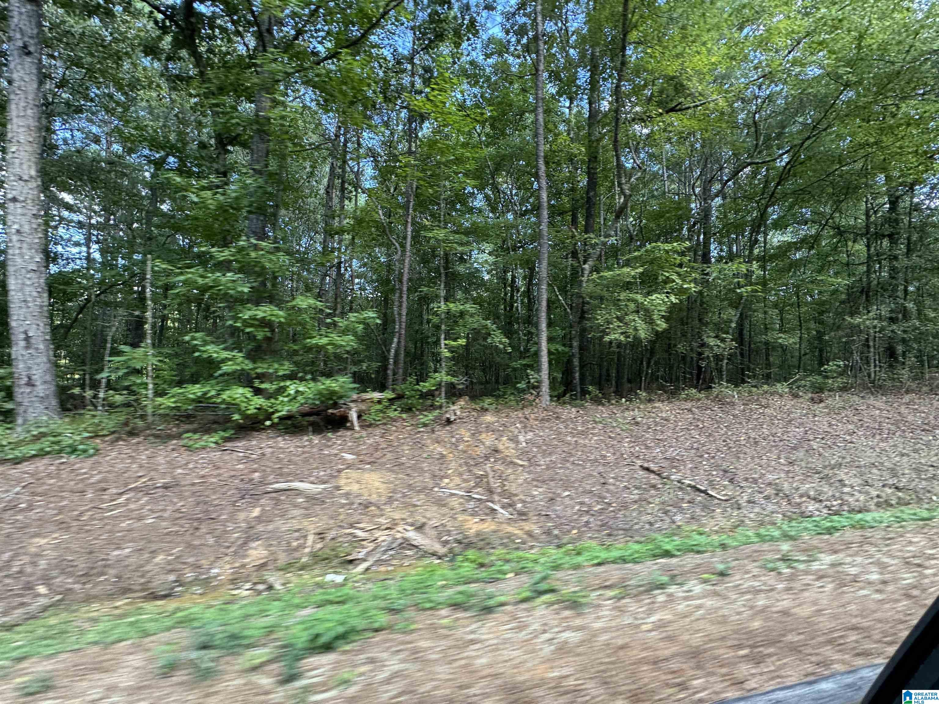 20394 County Road 55 Sterrett, AL 35147 - Photo 26 of 43