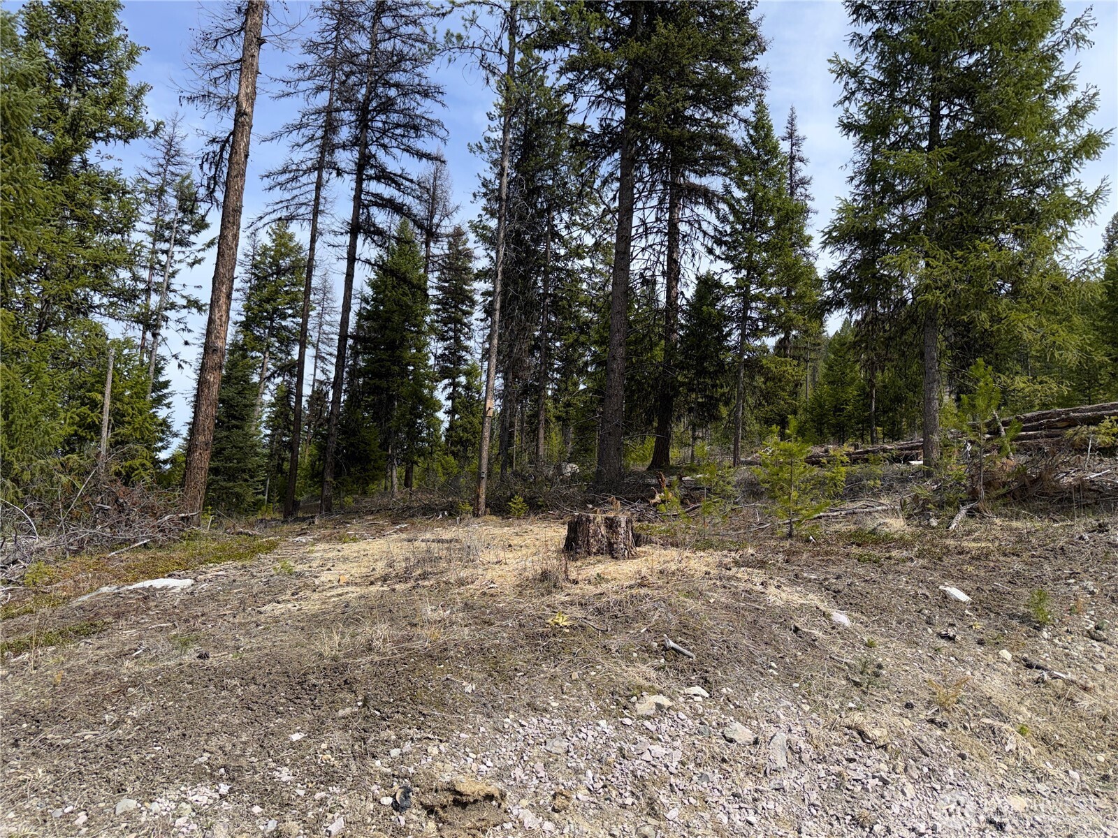 37 Gardner Creek Road Republic, WA 99166 - Photo 21 of 25