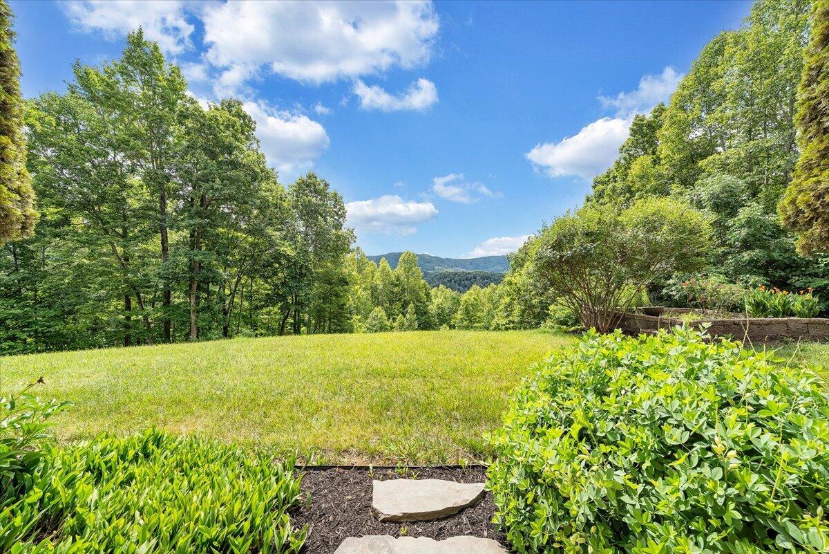 11010 Catawba Road Troutville, VA 24175 - Photo 7 of 68 06-MIB06387