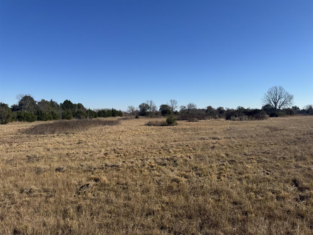 2 Fm 2675 Roxton, TX 75477 - Photo 7 of 11