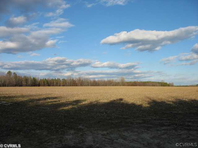 0 Fox Branch Road Drewryville, VA 23844 - Photo 2 of 3 Land - Cropland