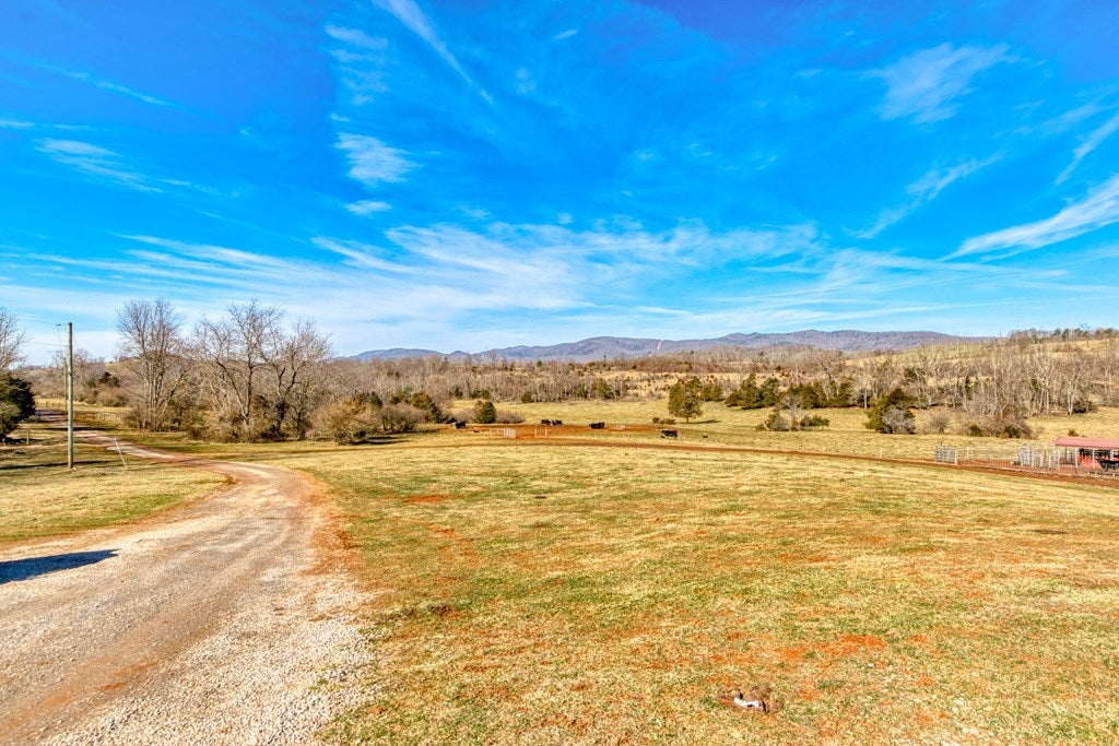 1604 Rickey Road Max Meadows, VA 24360 - Photo 50 of 73 Gallery Image 50
