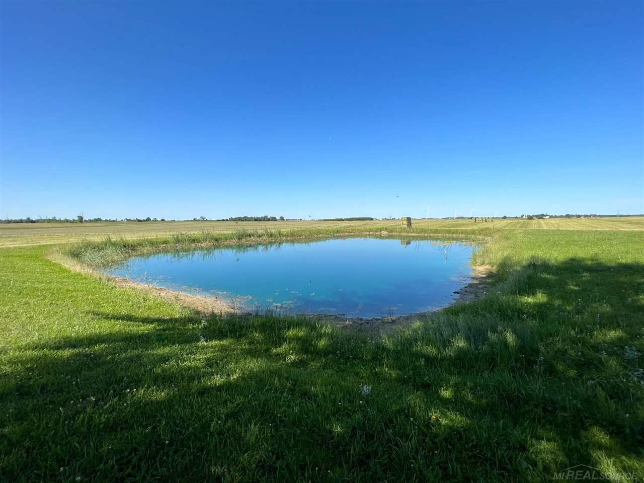 3830 Mills Road Deckerville, MI 48427 - Photo 22 of 25