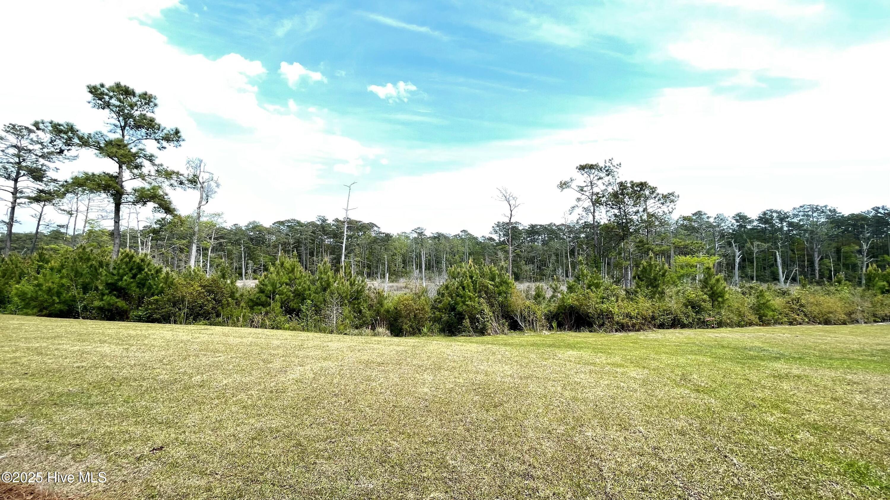 1231 Rippling Cove Loop Southwest Supply, NC 28462 - Photo 20 of 31 Lot 70 - 1231 Rippling Cove -rear yard