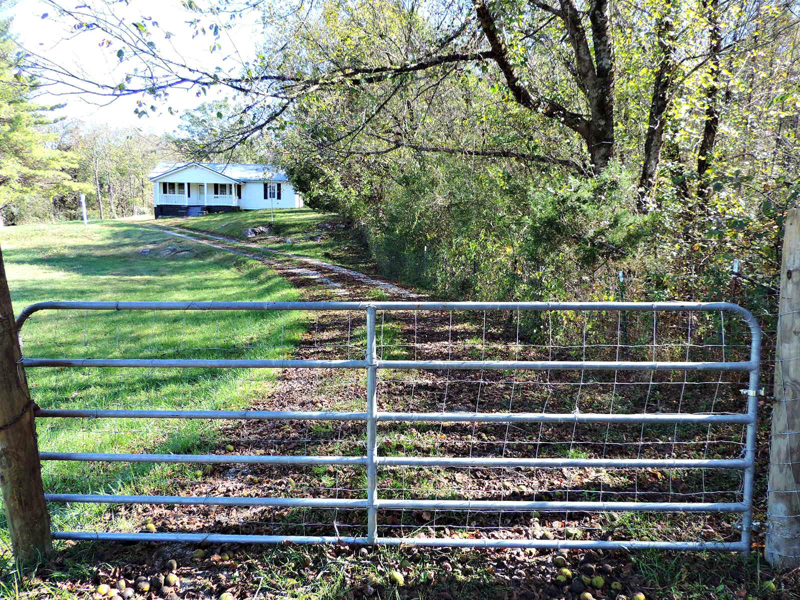 269 Knob Road Rutledge, TN 37861 - Photo 31 of 31 Gallery Image 31