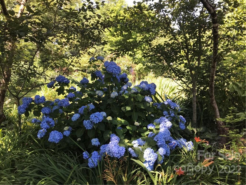 528 Padgettown Road Black Mountain, NC 28711 - Photo 11 of 37