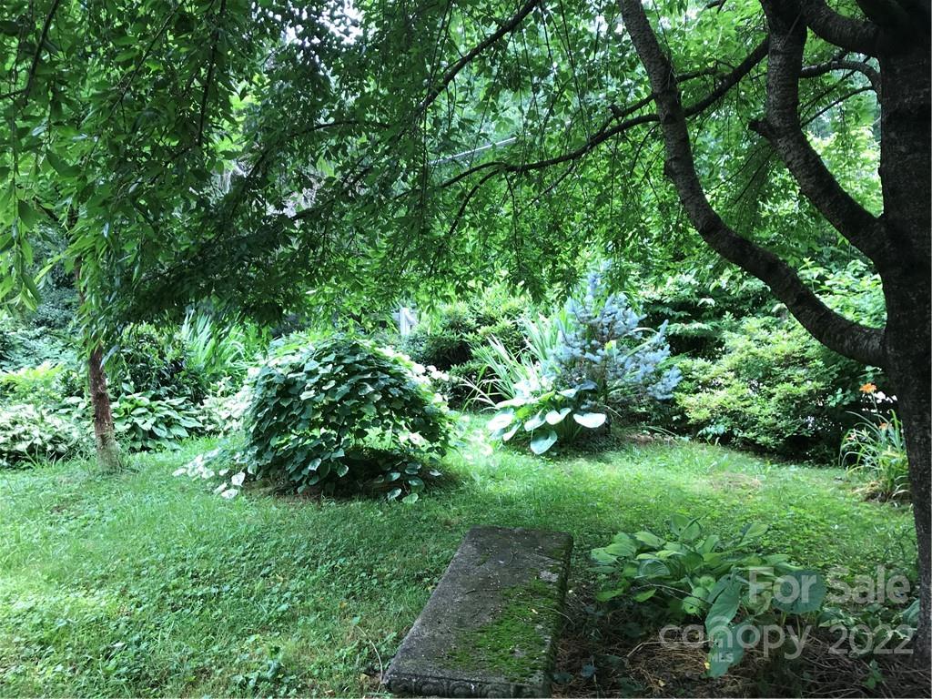 528 Padgettown Road Black Mountain, NC 28711 - Photo 12 of 37 a view of a lush green forest