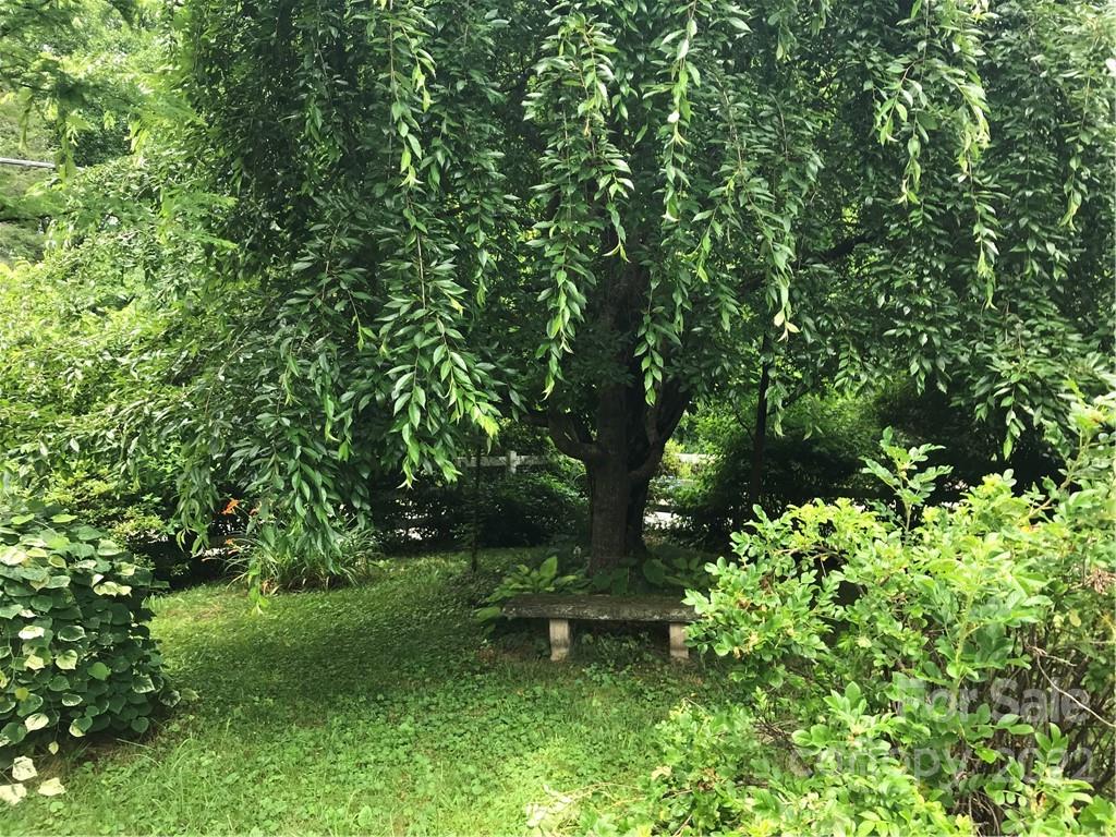 528 Padgettown Road Black Mountain, NC 28711 - Photo 13 of 37 a garden view