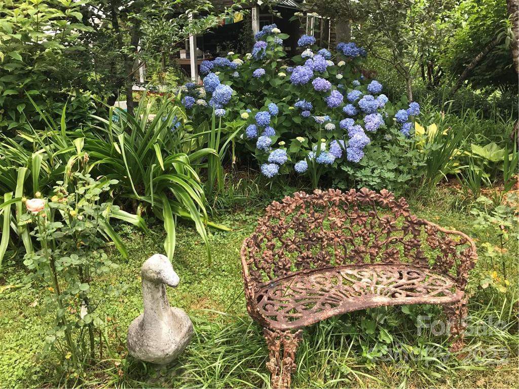 528 Padgettown Road Black Mountain, NC 28711 - Photo 14 of 37 a view of a plant in a garden