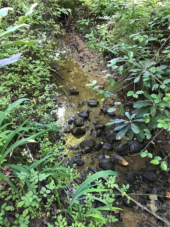 528 Padgettown Road Black Mountain, NC 28711 - Photo 17 of 37 a view of a lush green forest with lots of trees