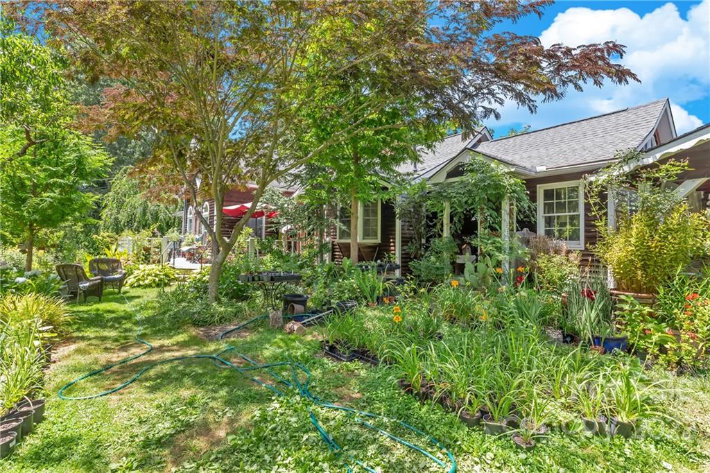 528 Padgettown Road Black Mountain, NC 28711 - Photo 18 of 37 a backyard of a house with plants and large trees